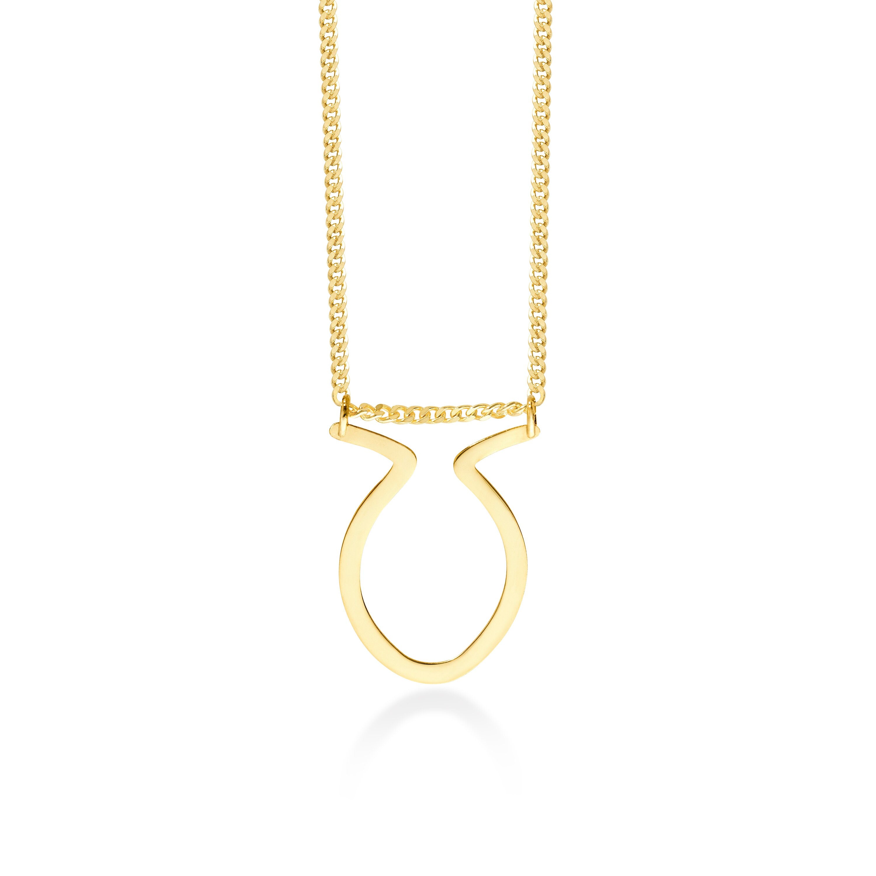 Oval Horn Ring Holder Necklace